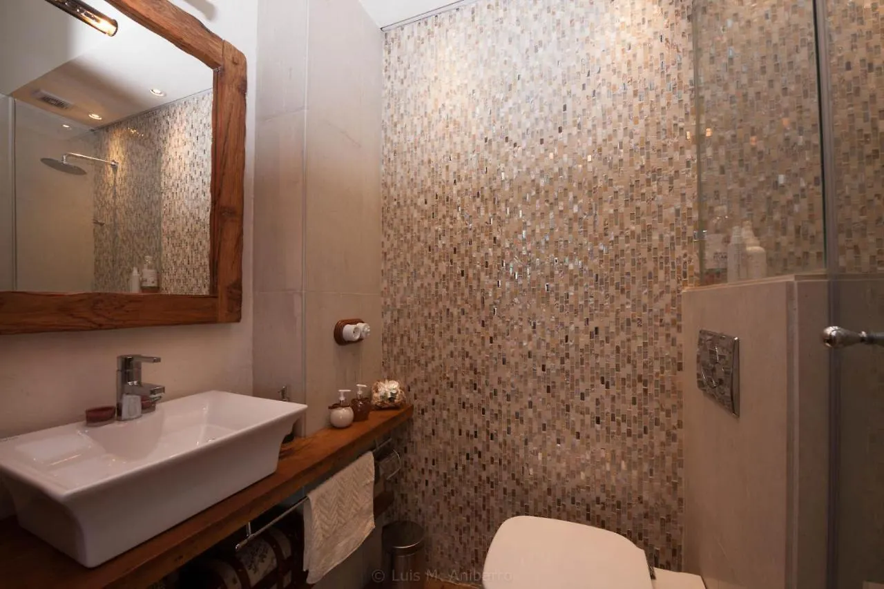 Historic Canarian House, Private Heated Infinity Pool, Bbq, Wifi + Panoramic Ocean Views Arona  Španělsko